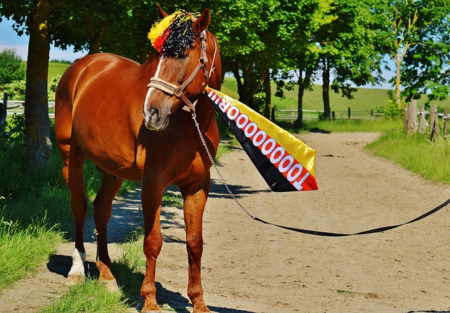 年轻教练团 年轻教练团