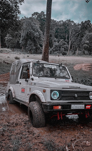 东地区的影 东地区的影