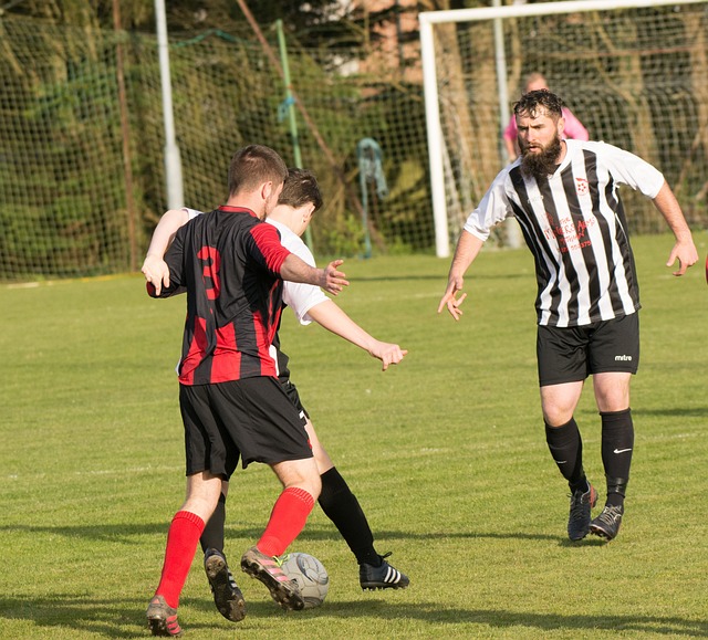 篮网队以令 篮网队以令