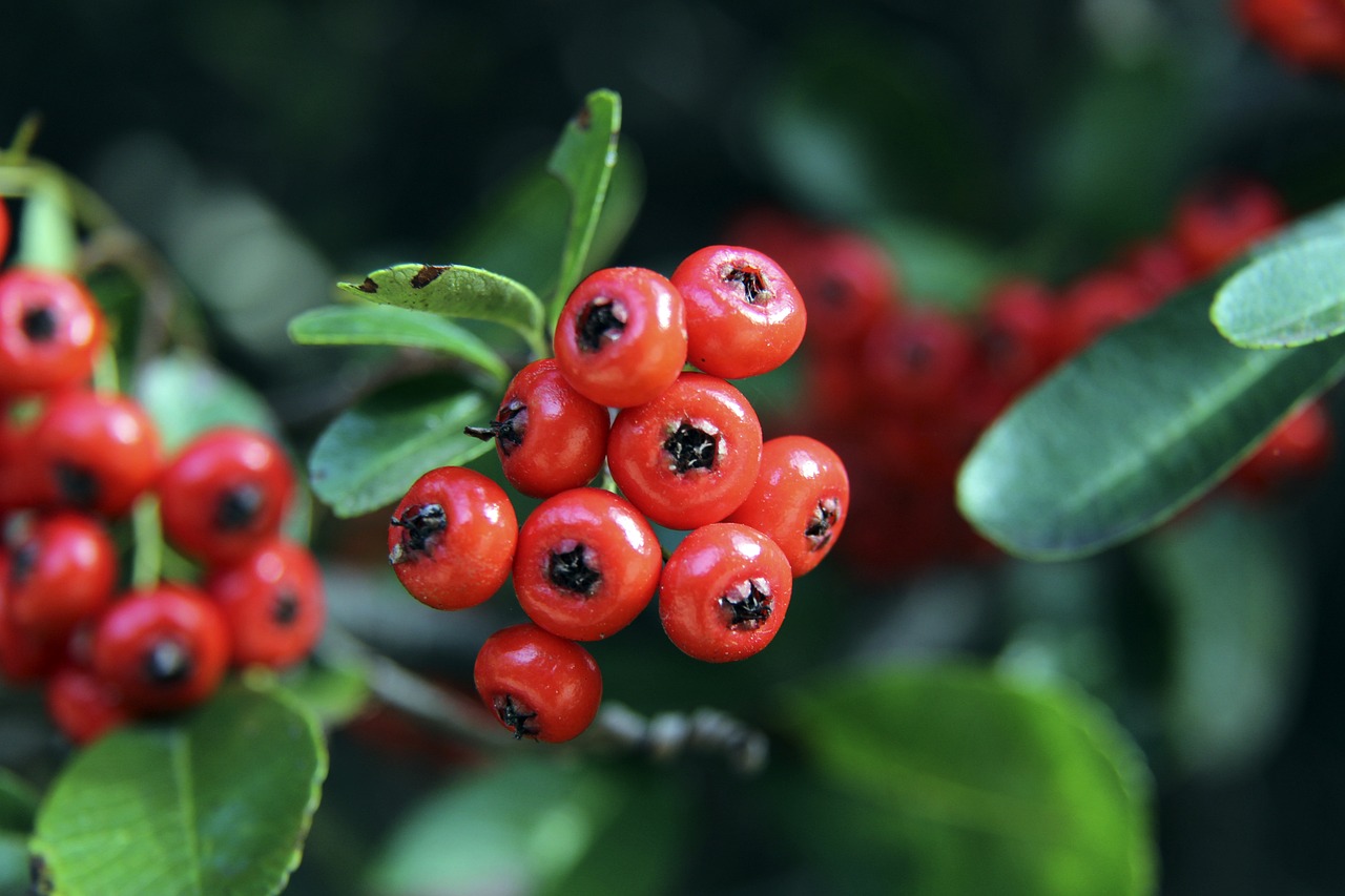 和祖巴茨的 和祖巴茨的
