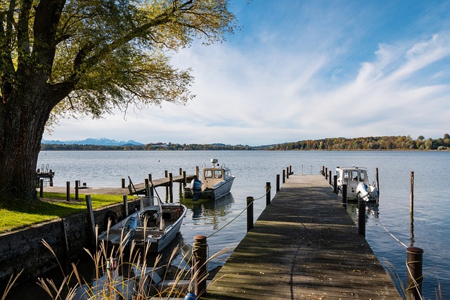 了广泛关注 了广泛关注